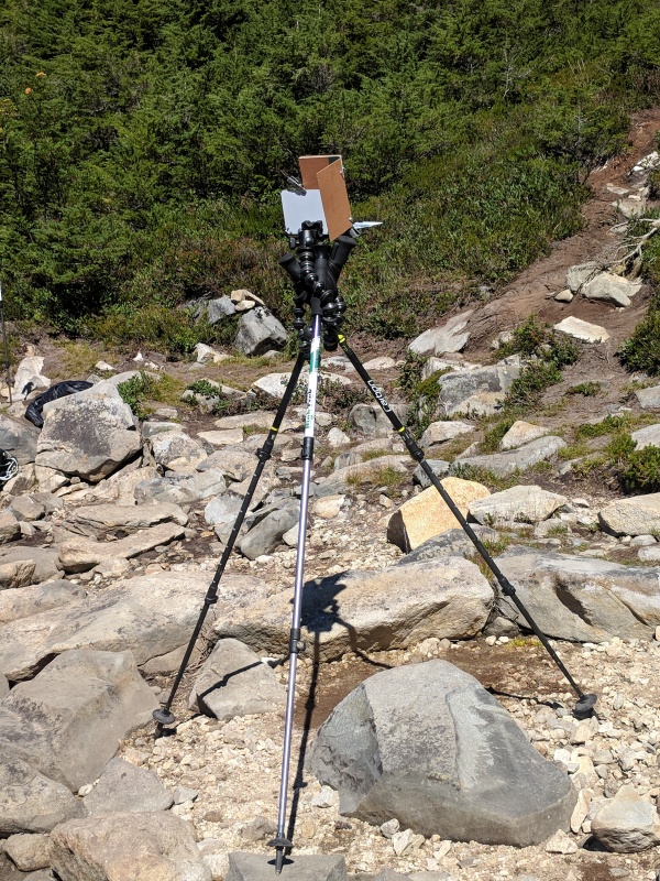 Gorillapod and three hiking poles used to make a standing easel