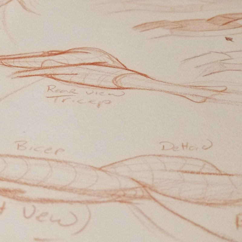 artisticanatomy Artistic Anatomy